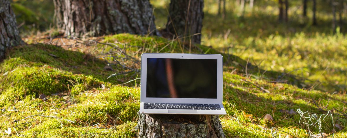 Was denkt ChatGPT über den Klimaschützer Wald?