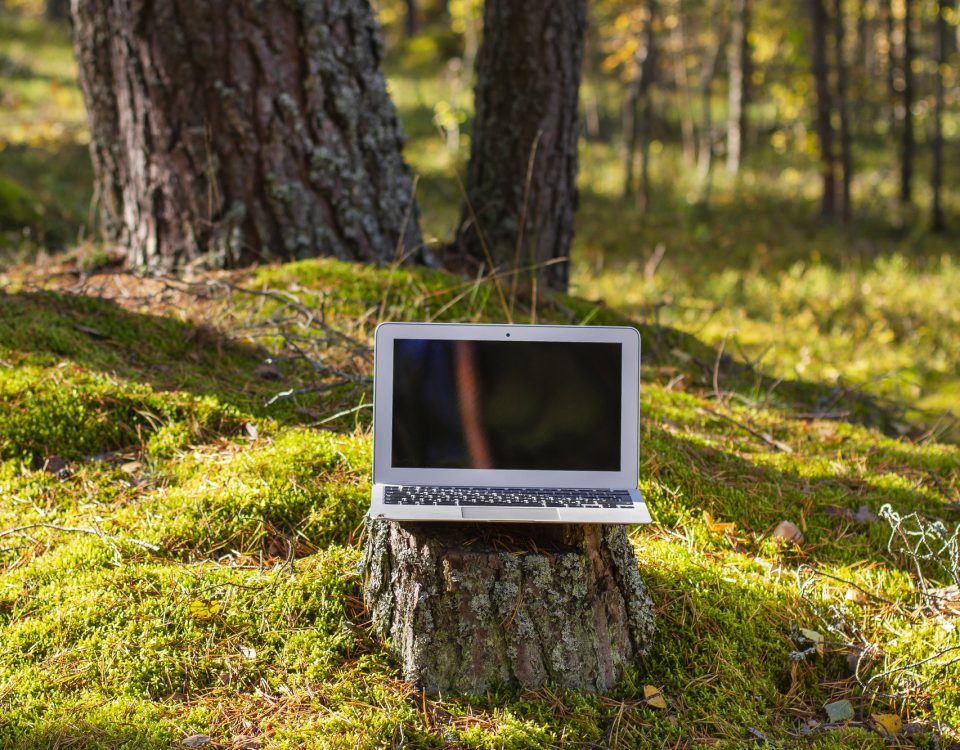 Was denkt ChatGPT über den Klimaschützer Wald?