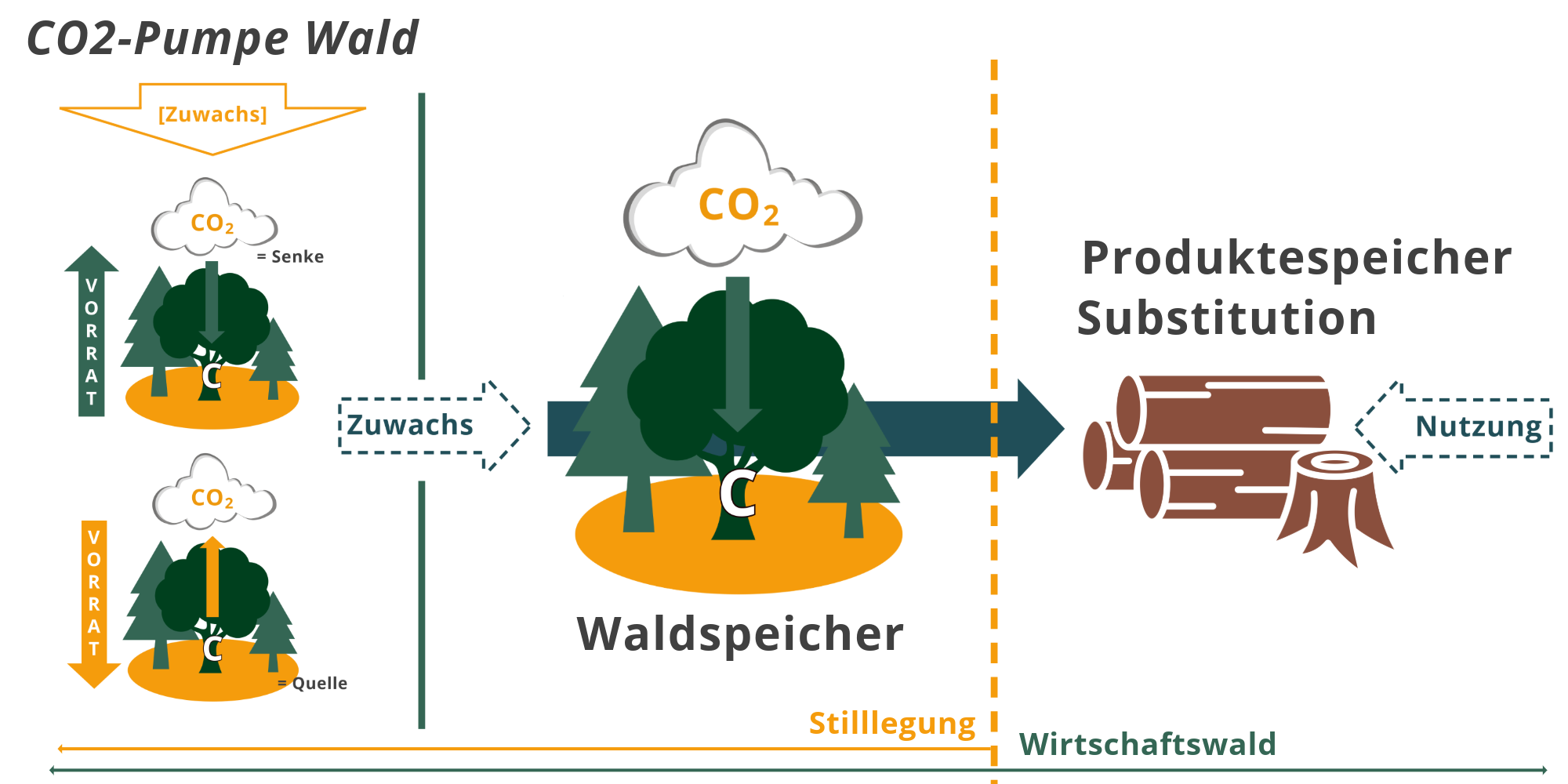 US_Klimaschutzgesetz_CO2-Pumpe Wald US_Klimaschutzgesetz_CO2-Pumpe Wald